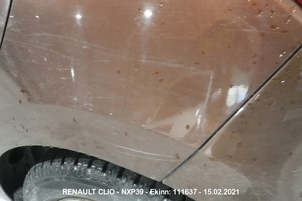 Dscf9593