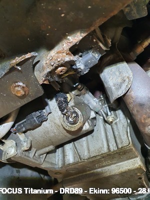 Drd89