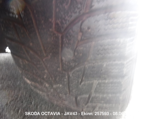 Dscf8961
