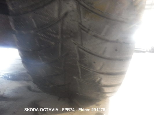 Dscf5982
