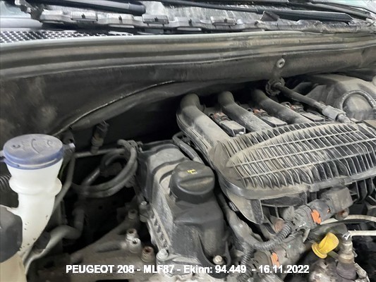 Mlf87