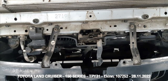 Tpy31
