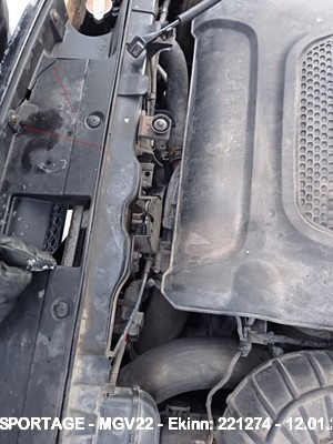 Mgv22