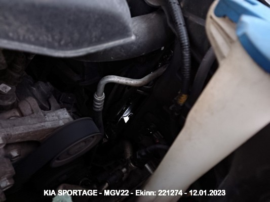 Mgv22