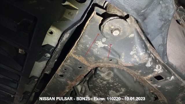 Bdn25