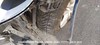 20230728_203216_thumb