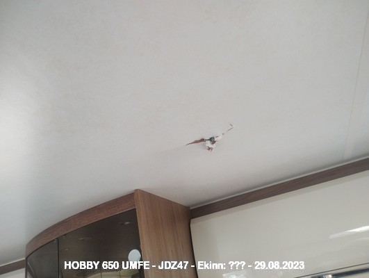 Img_20230829_094409560_mp