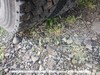 Img_20230904_172439348_mp_thumb