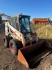Bobcat2_thumb