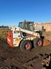 Bobcat4_thumb