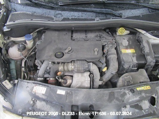 Dlz33