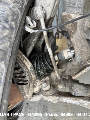 Gnx95