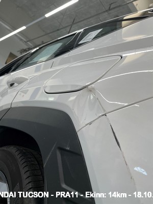 Pra11