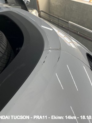 Pra11