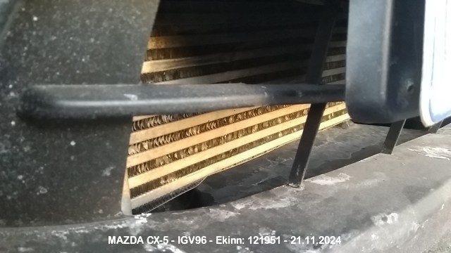 Img_20241121_150626