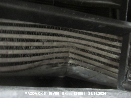 Igv96