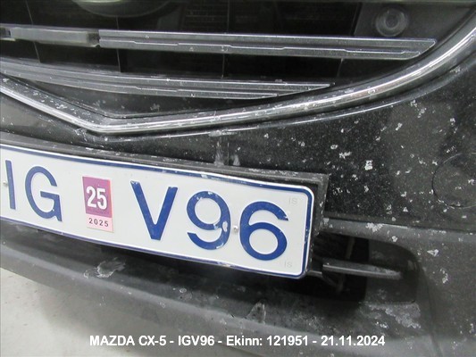 Igv96