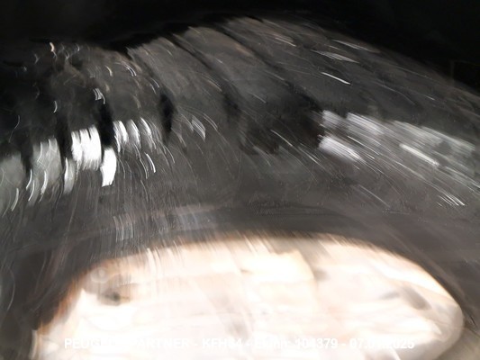 1000050317