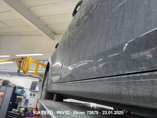 Pav22