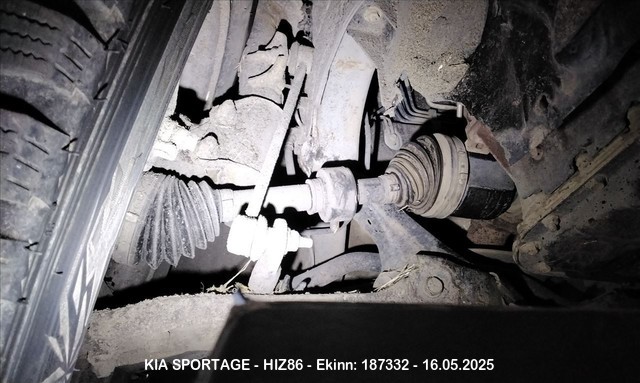Hiz86