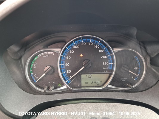1000075407
