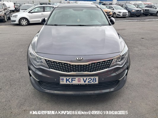 1000076261