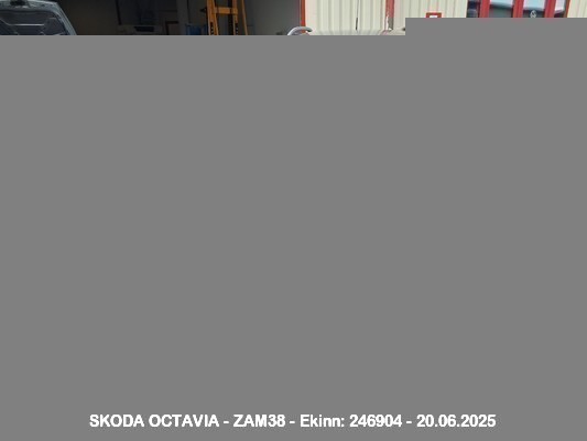 1000076624