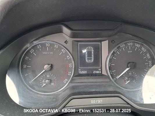 1000079136