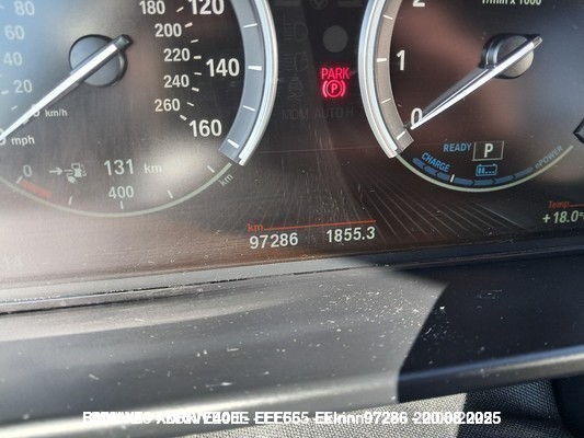 1000082223