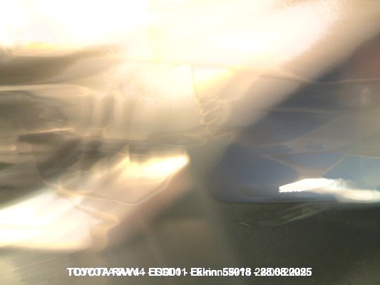 1000083342