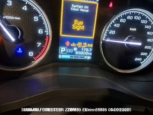 1000084842