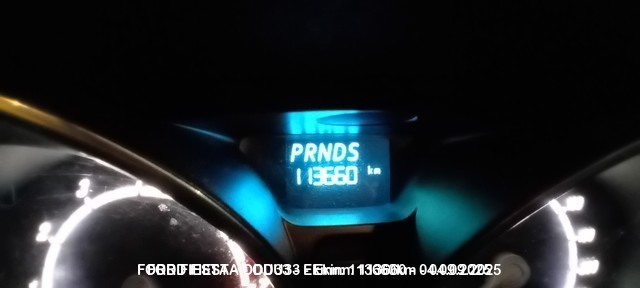 1000019096