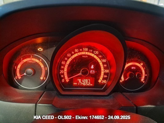 1000087646