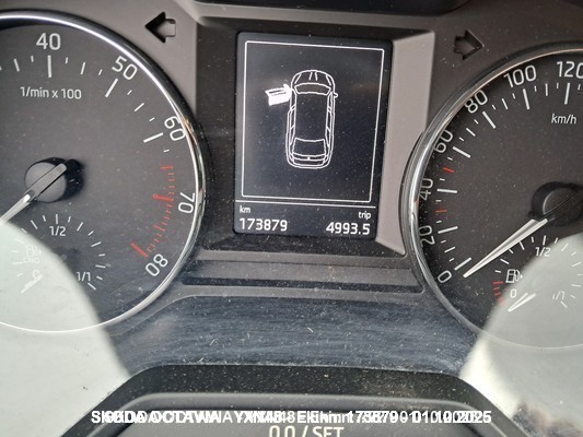 1000088290