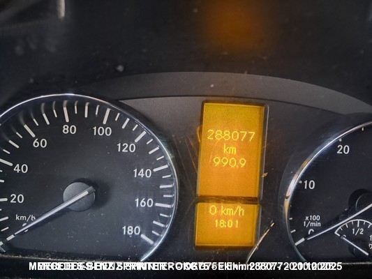 1000089713